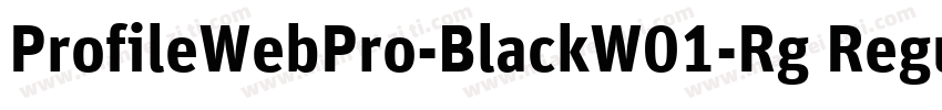 ProfileWebPro-BlackW01-Rg Regular字体转换